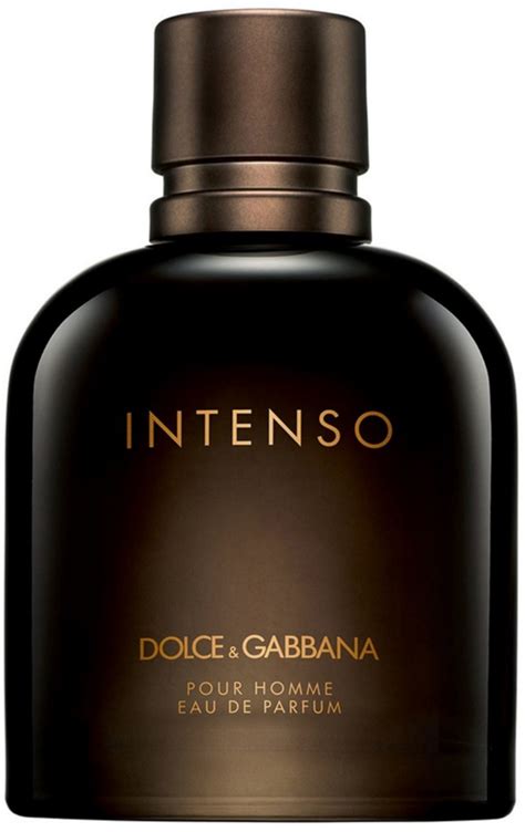 dolce and gabbana sale men's